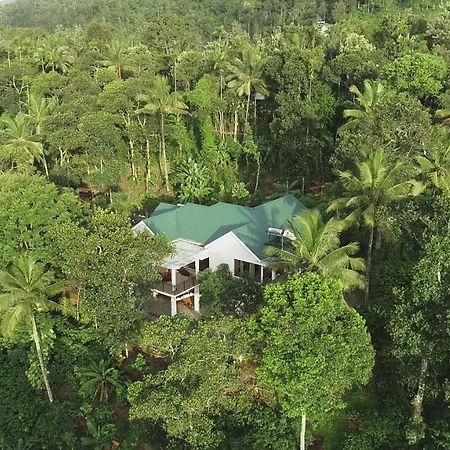 Coffee And Pepper Plantation Homestay Thekkady Exteriér fotografie